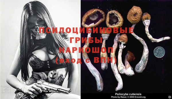 гидропоника Осташков