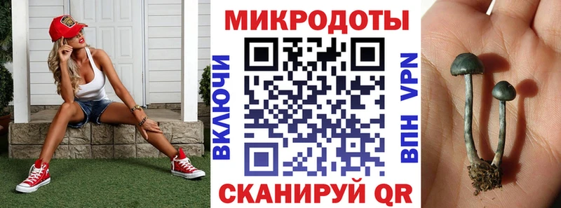 ссылка на мегу вход  как найти наркотики  Ряжск  Галлюциногенные грибы мицелий 